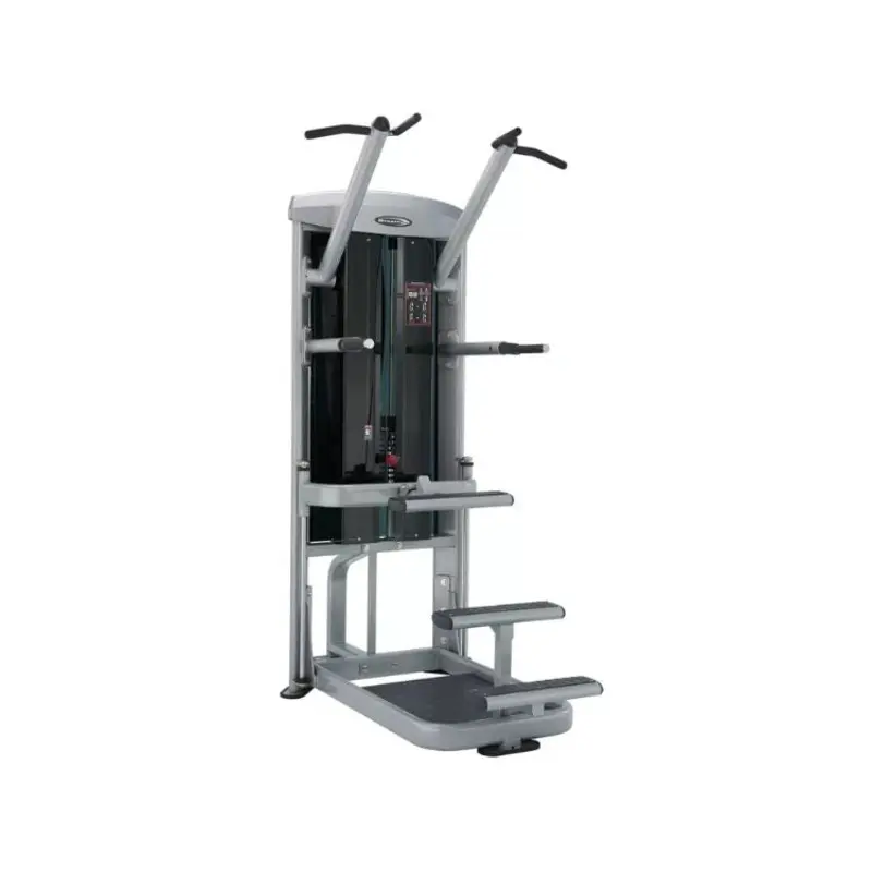 Steelflex MCD-2100 Chin/Dip