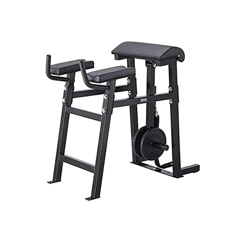Steelflex  Reverse Hyper Bench-Ape Series RH-1