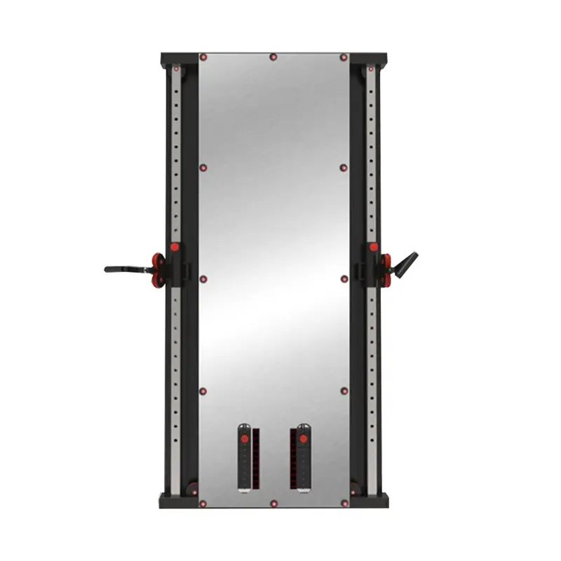 1441 Fitness Wall Mounted Functional Trainer - 41FGT980