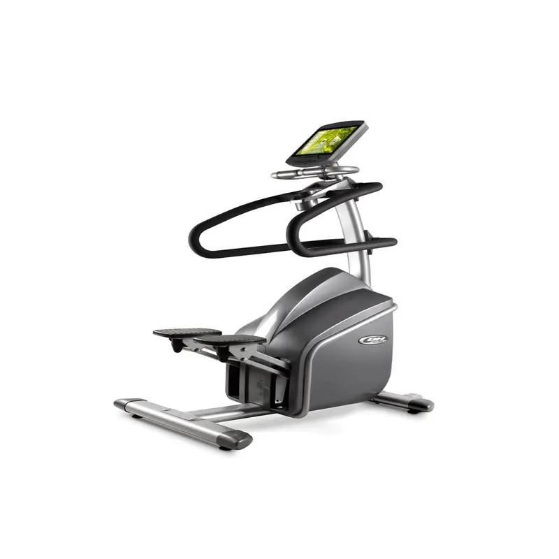 BH Fitness SK2500 Professional Stepper