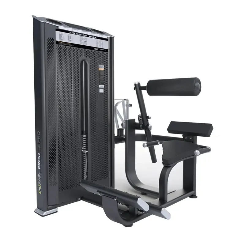 DHZ Fitness Back Extension Machine - 41FE7031A