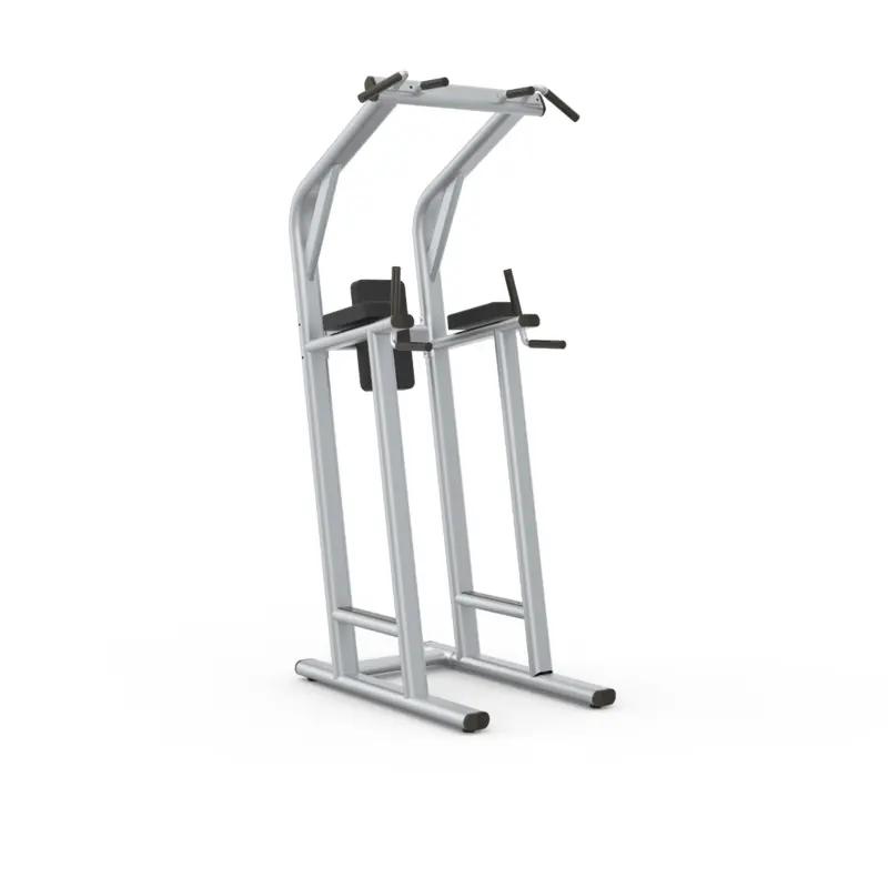 Gainmotion Commercial Chin up / Dip / Leg Raise - GM-6014