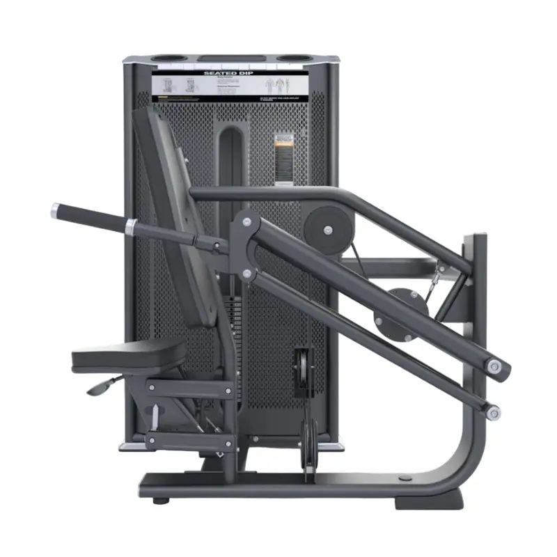 DHZ Fitness Seated Dip Machine - 41FE7026