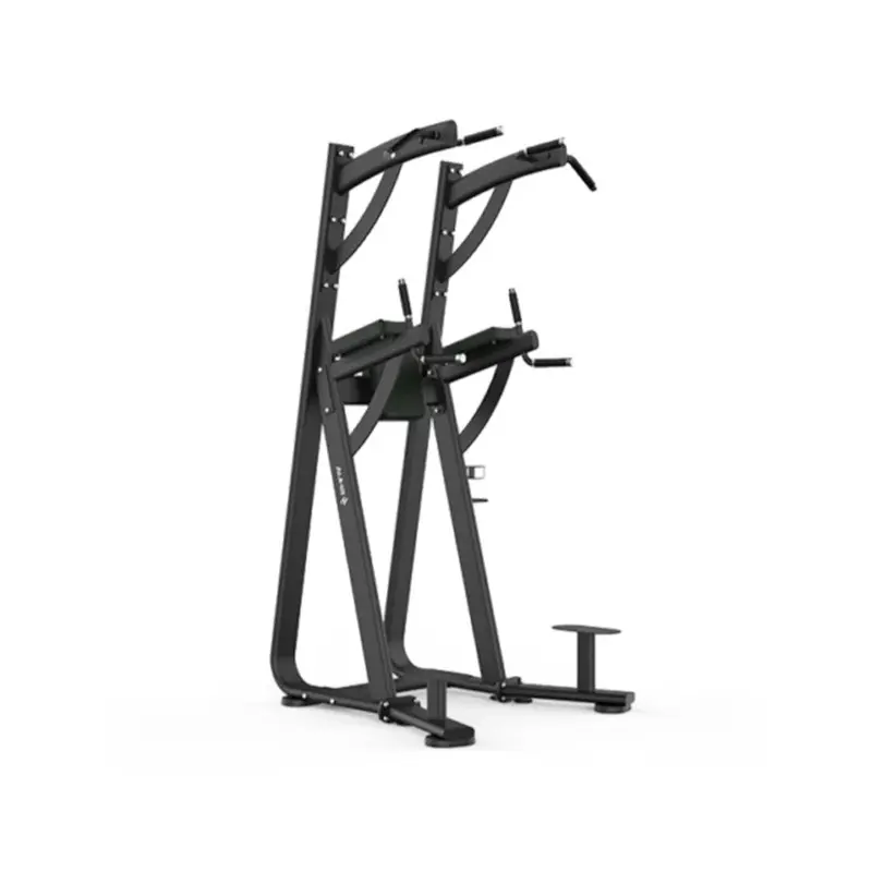 Shua 68 Series Chin Dip Leg Raise Station