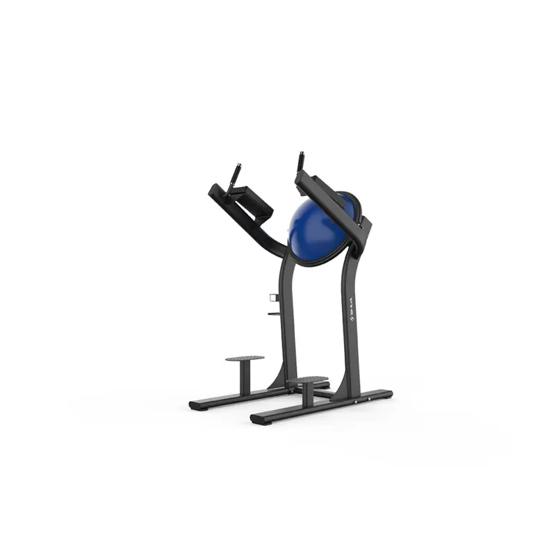 Shua 68 Series Leg Raise
