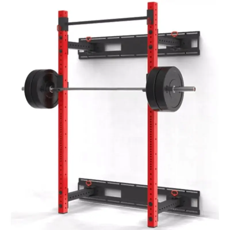 1441 Fitness Wall Mounted Squat Rack