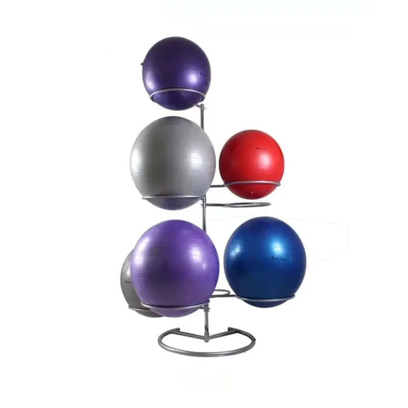 1441 Fitness 9 pcs Gym Ball  Rack