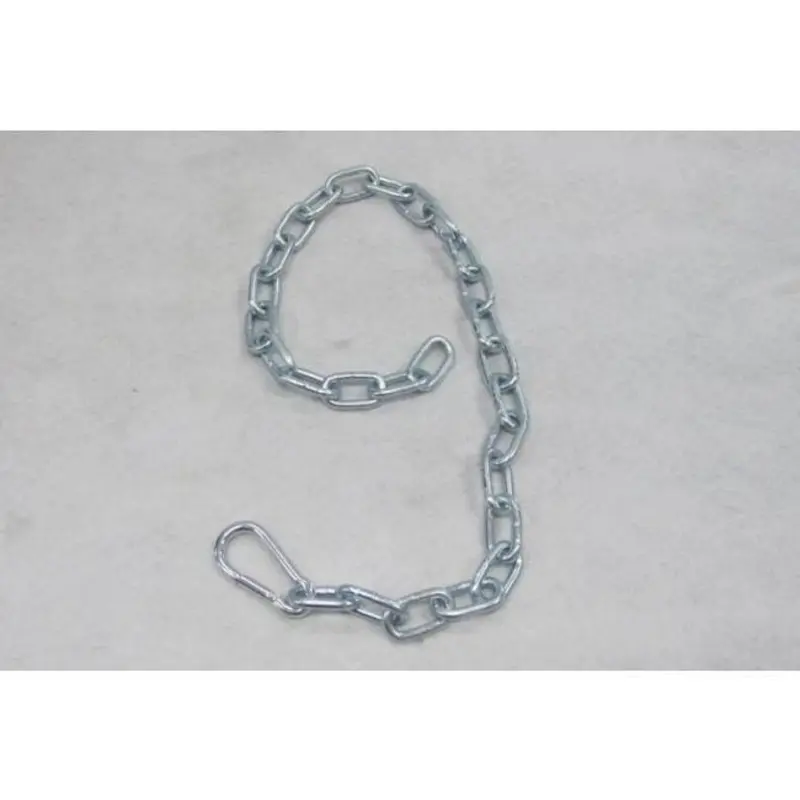 Chain with Carabiner
