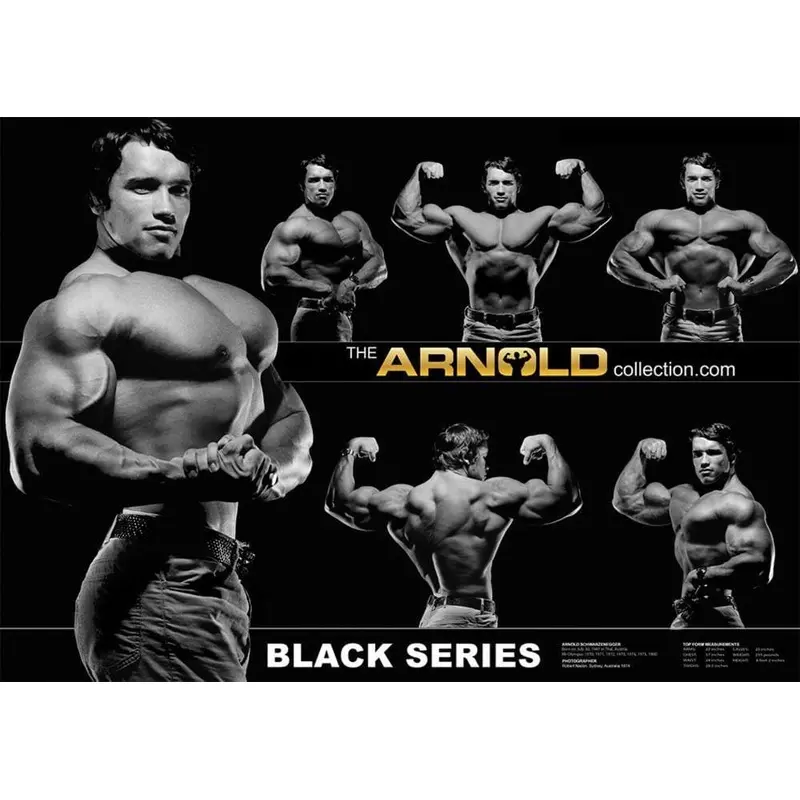 The Arnold Collection - BLACK SERIES - THE POSTER