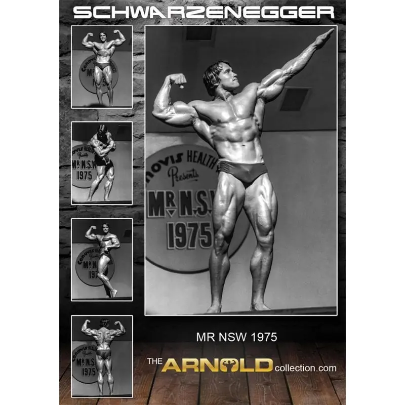The Arnold Collection - MR NSW 1975 POSTER (SINGLE)