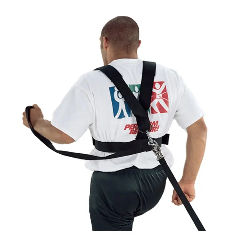 Sled Harness