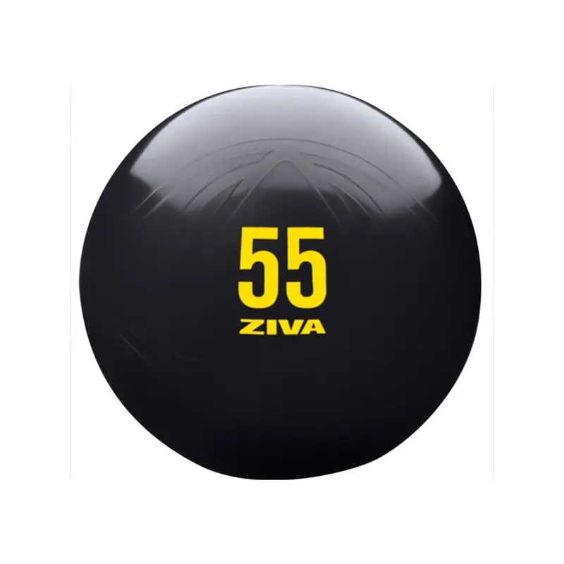 Special - Ziva Commercial-Grade Anti-Burst Core Fit Ball