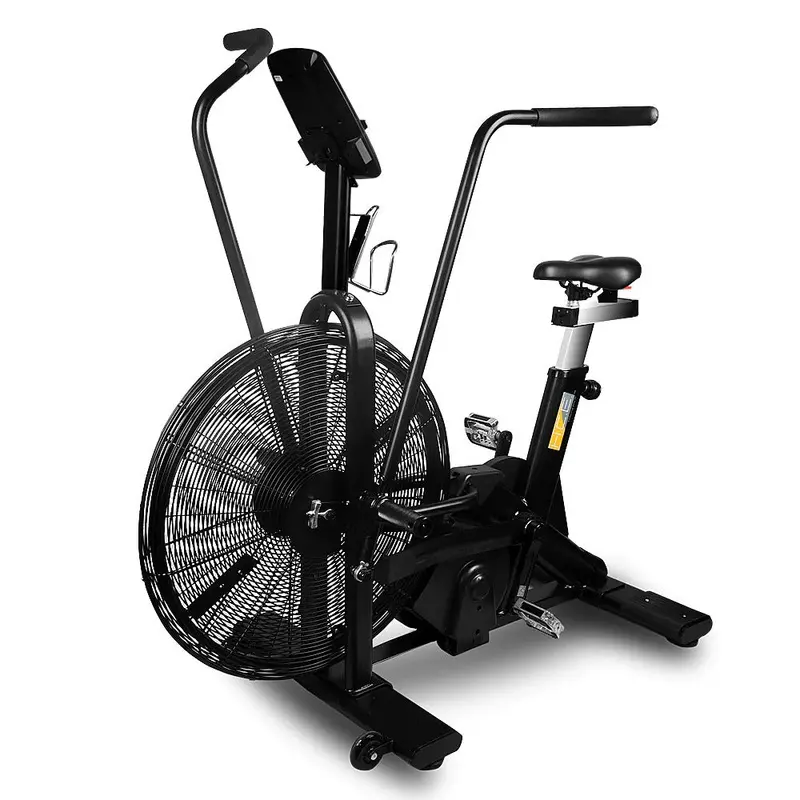 WINTER WORKOUT SALE: Dual-Action Assault Air Bike
