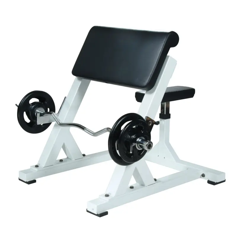 YORK Preacher Curl Machine, White