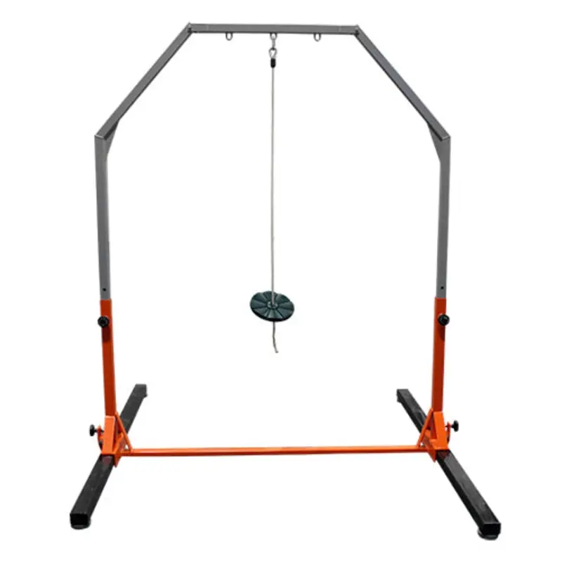 ELITE KIDS GYM Swing