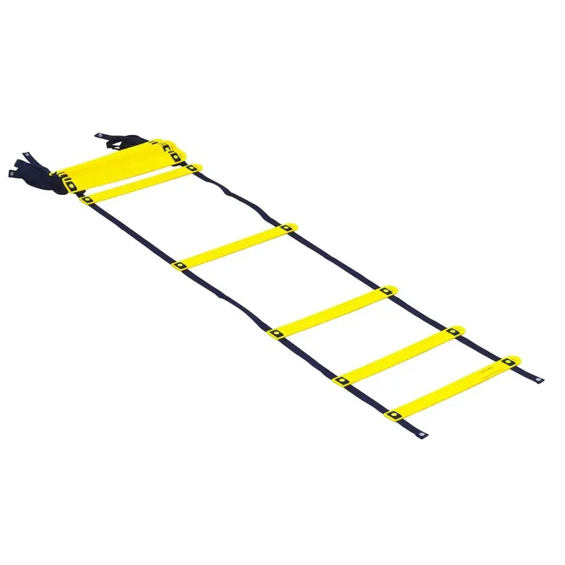Smart Modular Acceleration Ladder