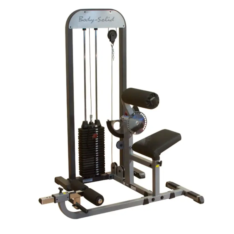 Bodysolid Pro-Select Ab and Back Machine