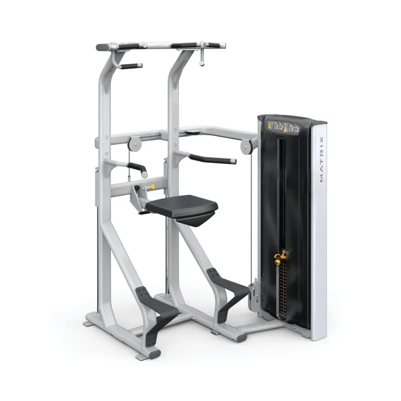Versa Chin / Dip Assist