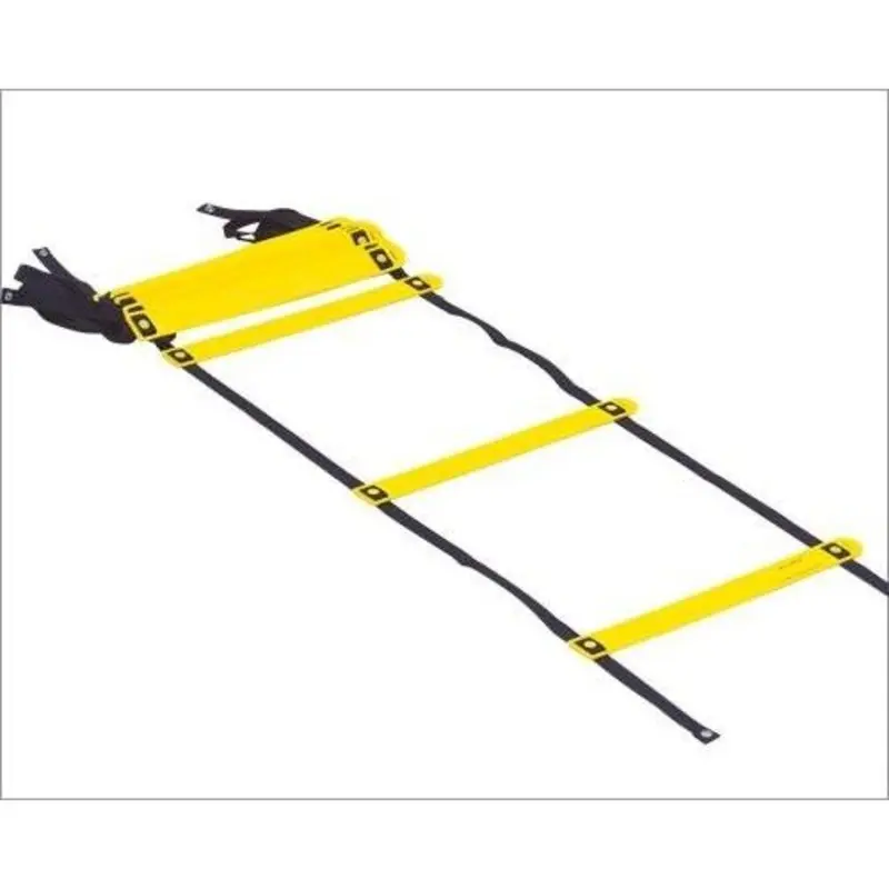 Prism Smart Acceleration Ladder 30'