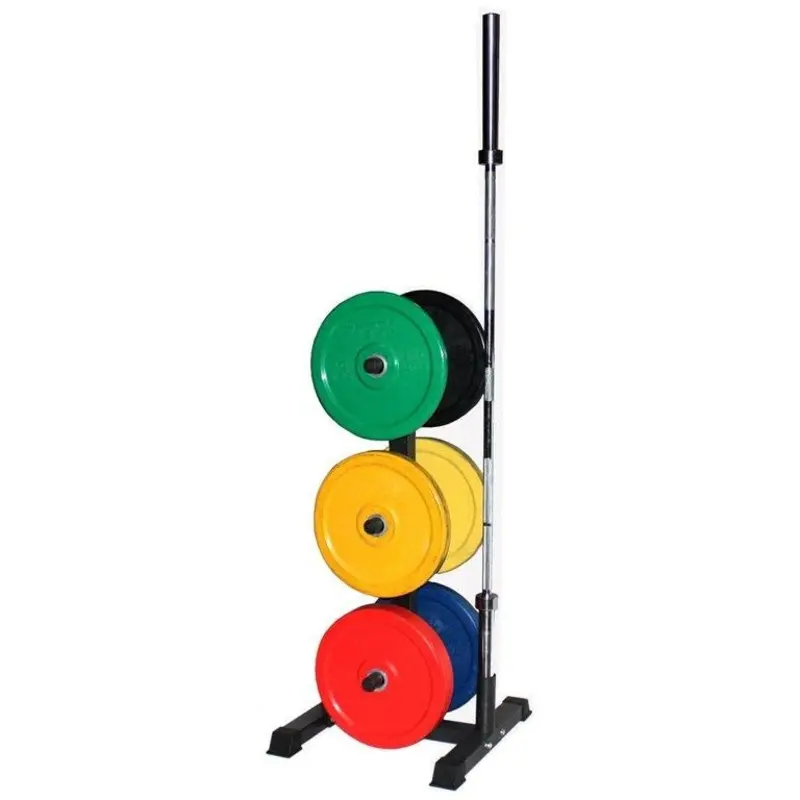 VTX Vertical Olympic Bumper Plate Rack with Bar Holders #GOPT