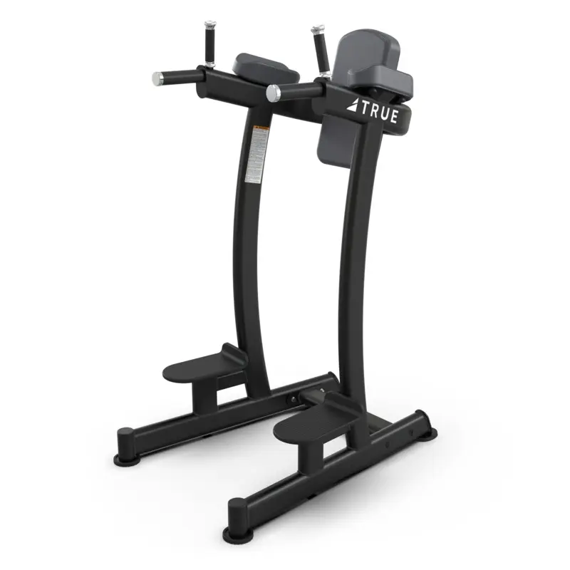 True XFW-6400 Vertical Knee Raise/Dip