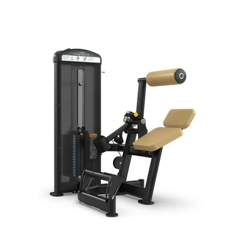 True Fitness FUSE-1300 Lower Back Extension