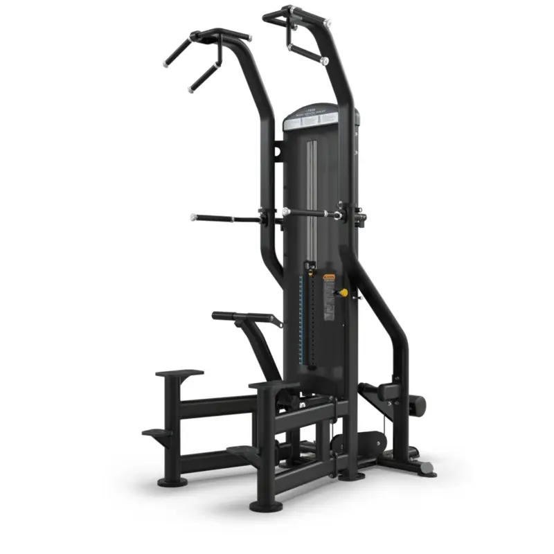 True Fitness FUSE-4000 Weight Assisted Chin Dip
