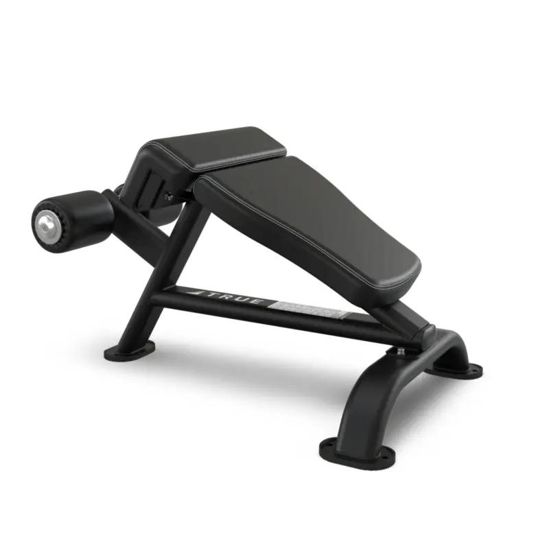 True Fitness Ab Bench