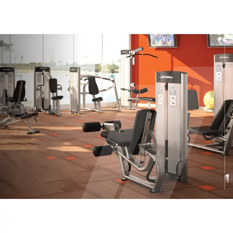 Certified Used Life Fitness Single Stations