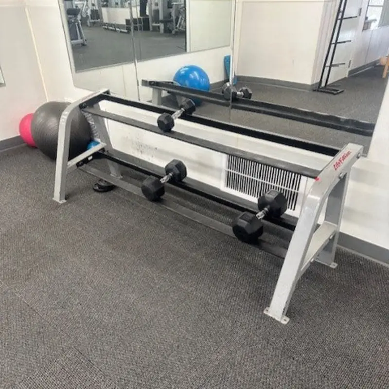 Certified Used Life Fitness Two Tier Dumbbell Rack