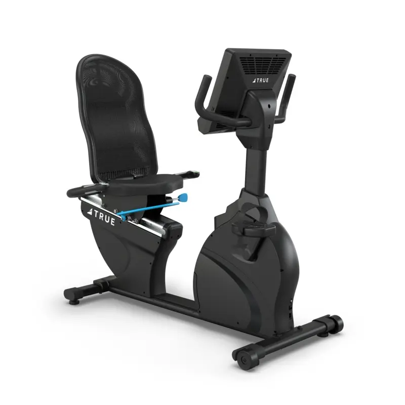 TRUE Performance Series Recumbent Bike