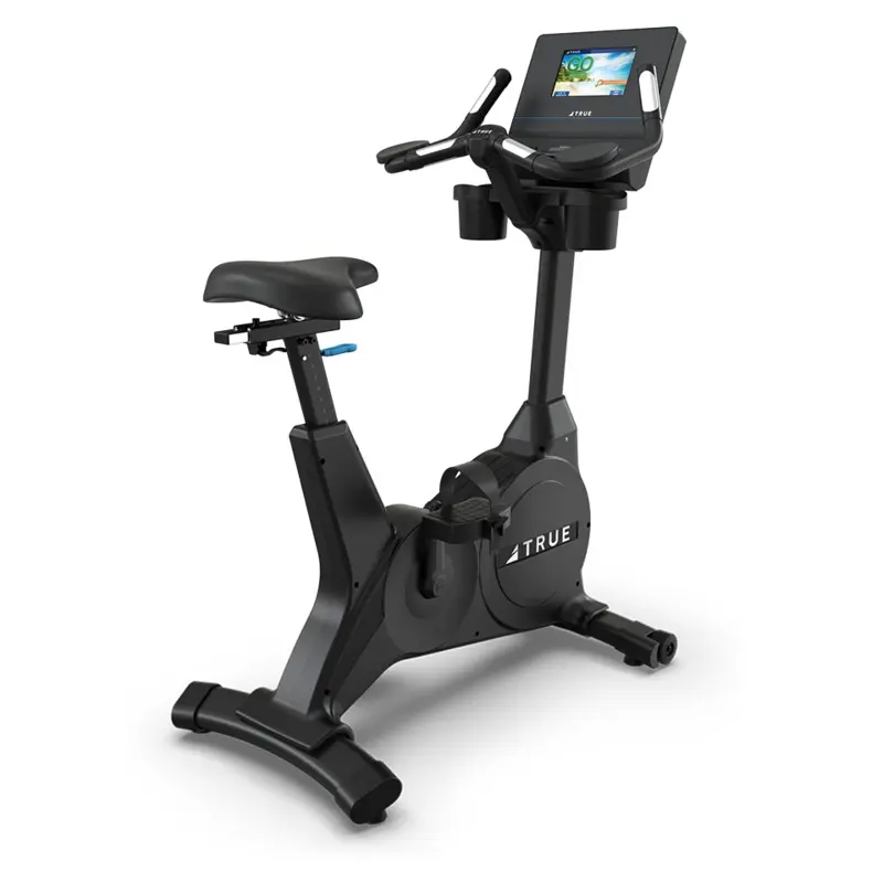 TRUE Performance Series Upright Bike