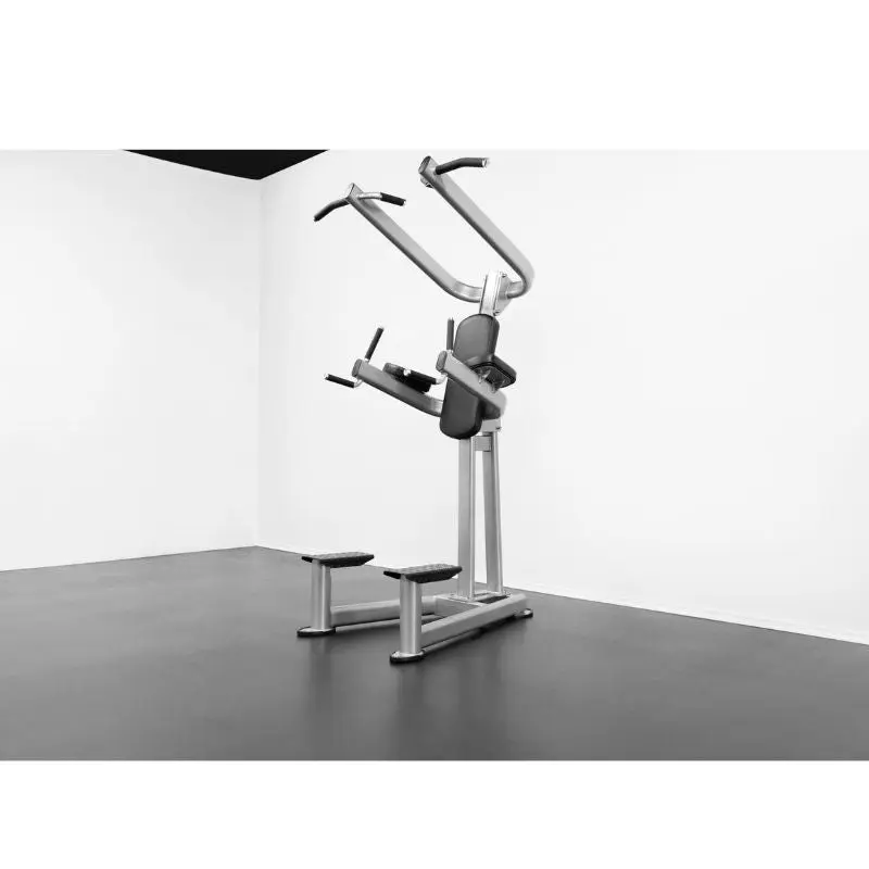 BodyKore Elite Series- Chin Dip Tower - CF2110