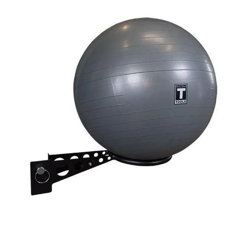 Body-Solid Pro ClubLine Stability Ball Holder Attachment SR-SBH