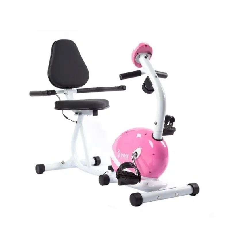 Pink Magnetic Recumbent Bike