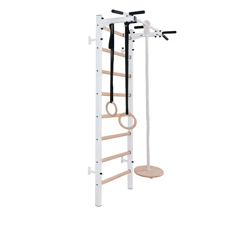 BenchK Wall Bar with Pull-Up Bar 221W + A204