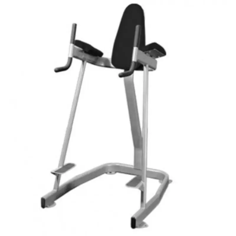 Muscle D Vertical Knee Raise Elite Series FW-EKR
