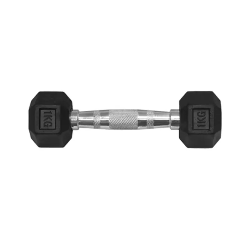 1KG HEX RUBBER COATED DUMBBELL - TITANIUM USA
