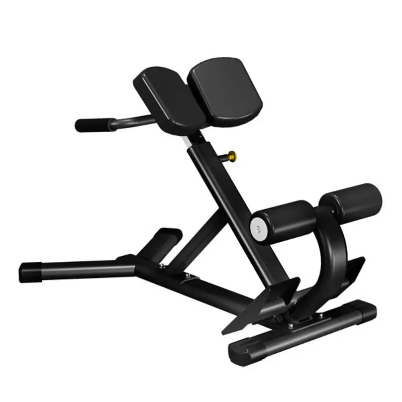 TITANIUM USA EAGLE SERIES 45 DEGREE HYPEREXTENSION - ES204