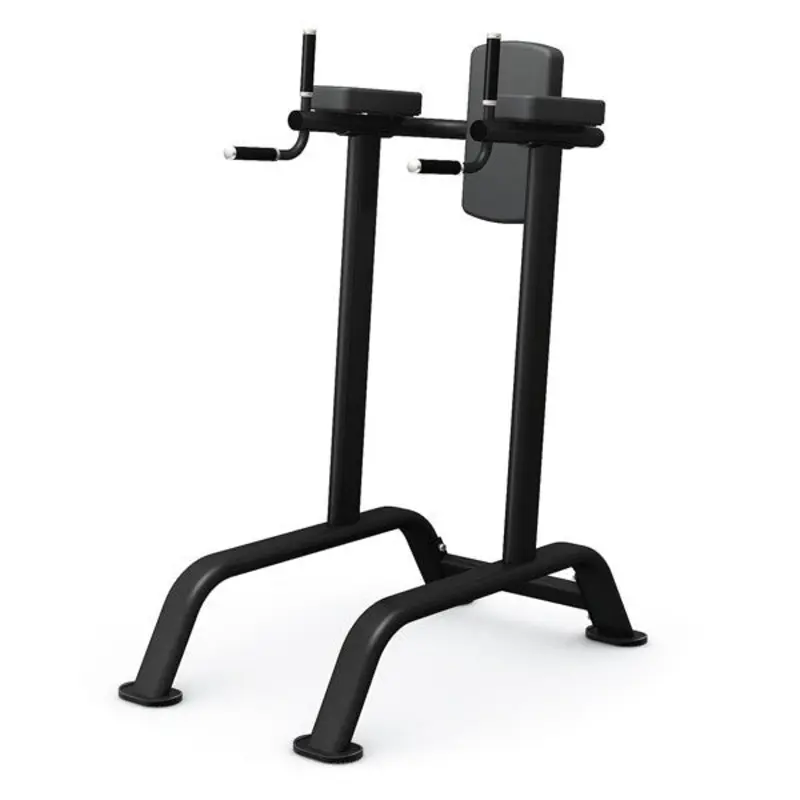 TITANIUM USA EAGLE SERIES DIP AND KNEE RAISE STATION - ES207