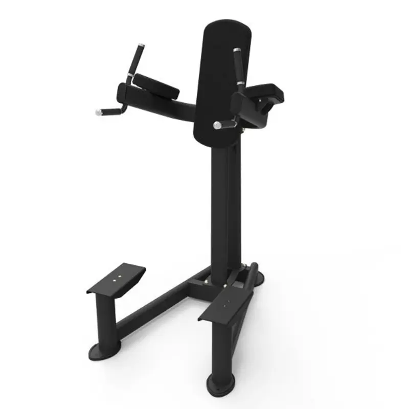 TITANIUM USA PLATINUM SERIES DIP AND KNEE RAISE STATION
