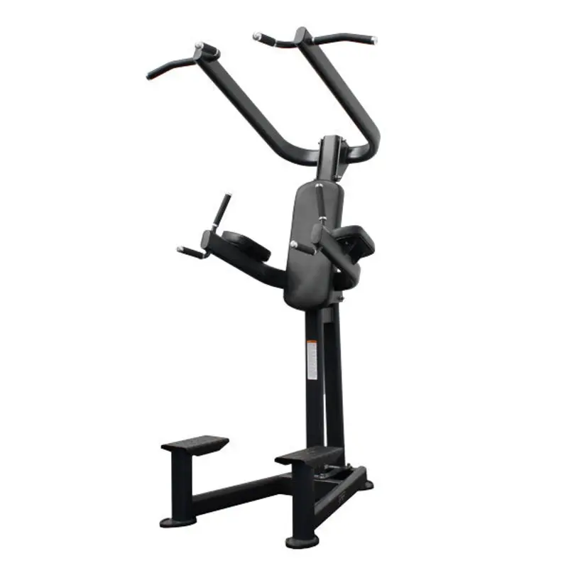 TITANIUM USA PLATINUM SERIES CHIN UP & DIP TOWER