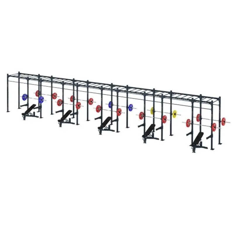 COMPETITION SERIES 10 CELL MONKEY BAR RIG CS-10CFSMBR