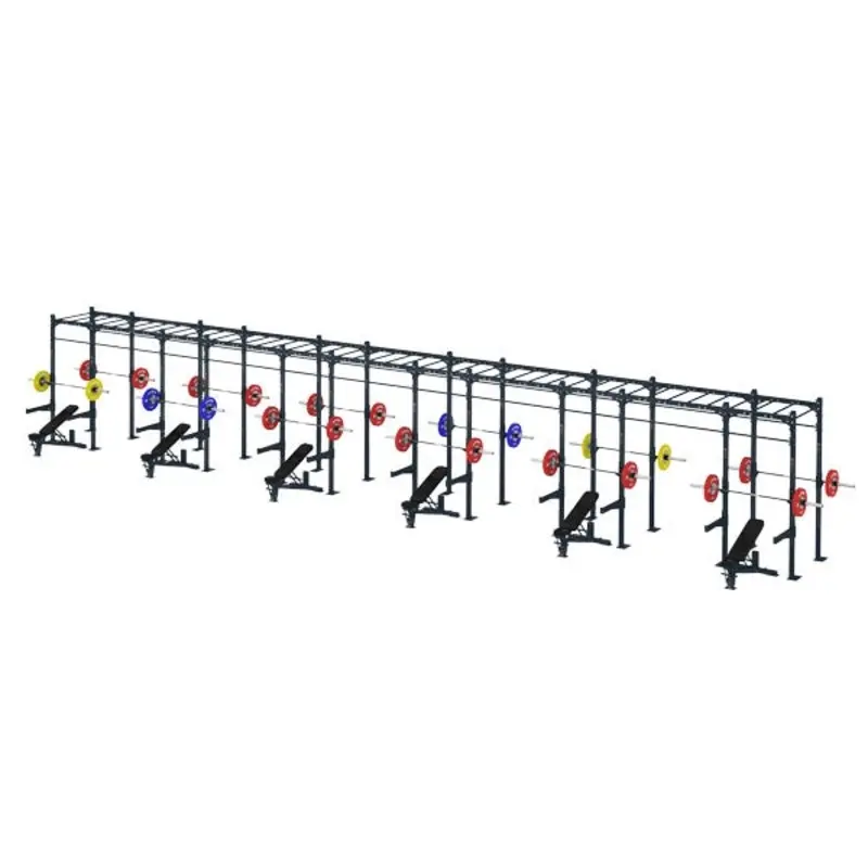 COMPETITION SERIES 11 CELL MONKEY BAR RIG CS-11CFSMBR
