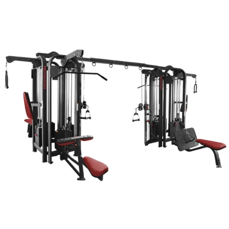 Promaxima Jungle Gym CM-908 2-Towers 8-Weight Stacks