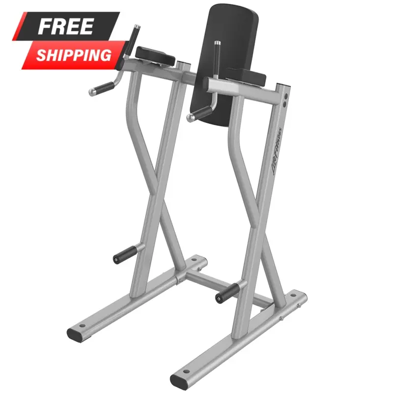 Life Fitness Axiom Series Dip/Leg Raise