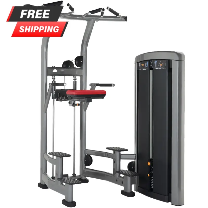 Life Fitness Insignia Series Assist Dip Chin