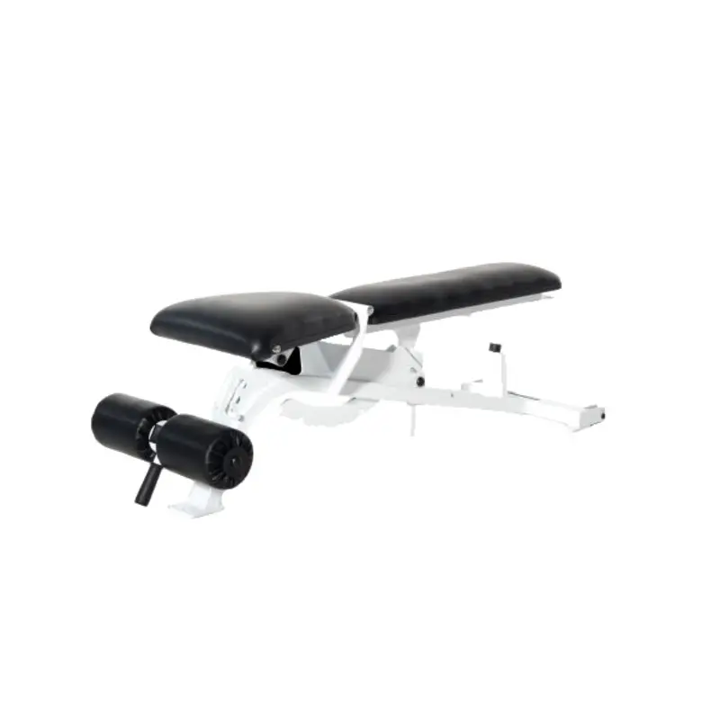 Promaxima PL-610 Multi-Adjustable Bench