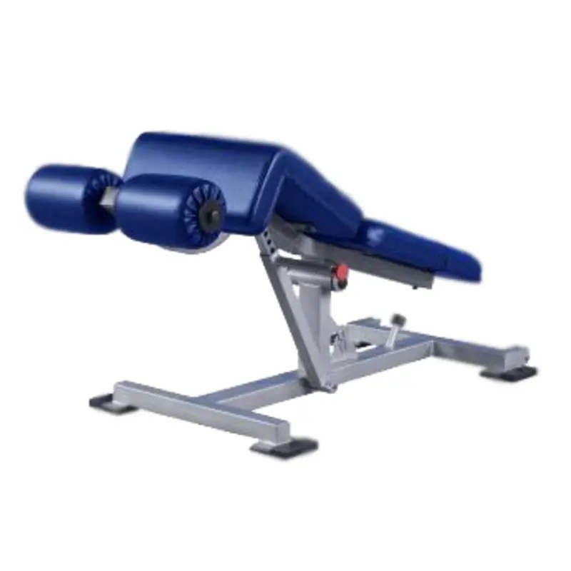 Promaxima Decline Adjustable Ab Bench