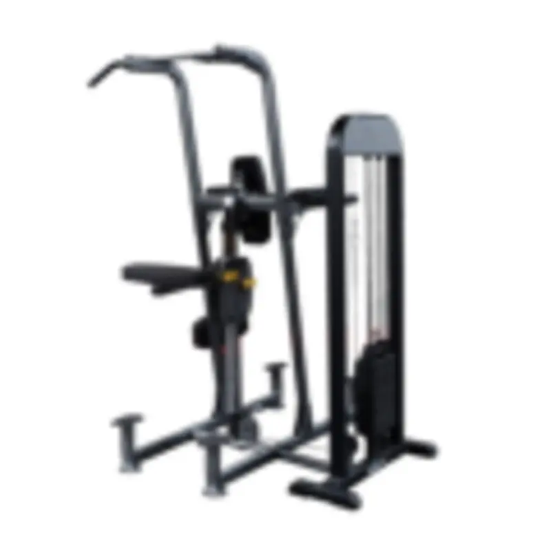 Body Solid PRO-Select Weight Assisted Chin-Dip Machine